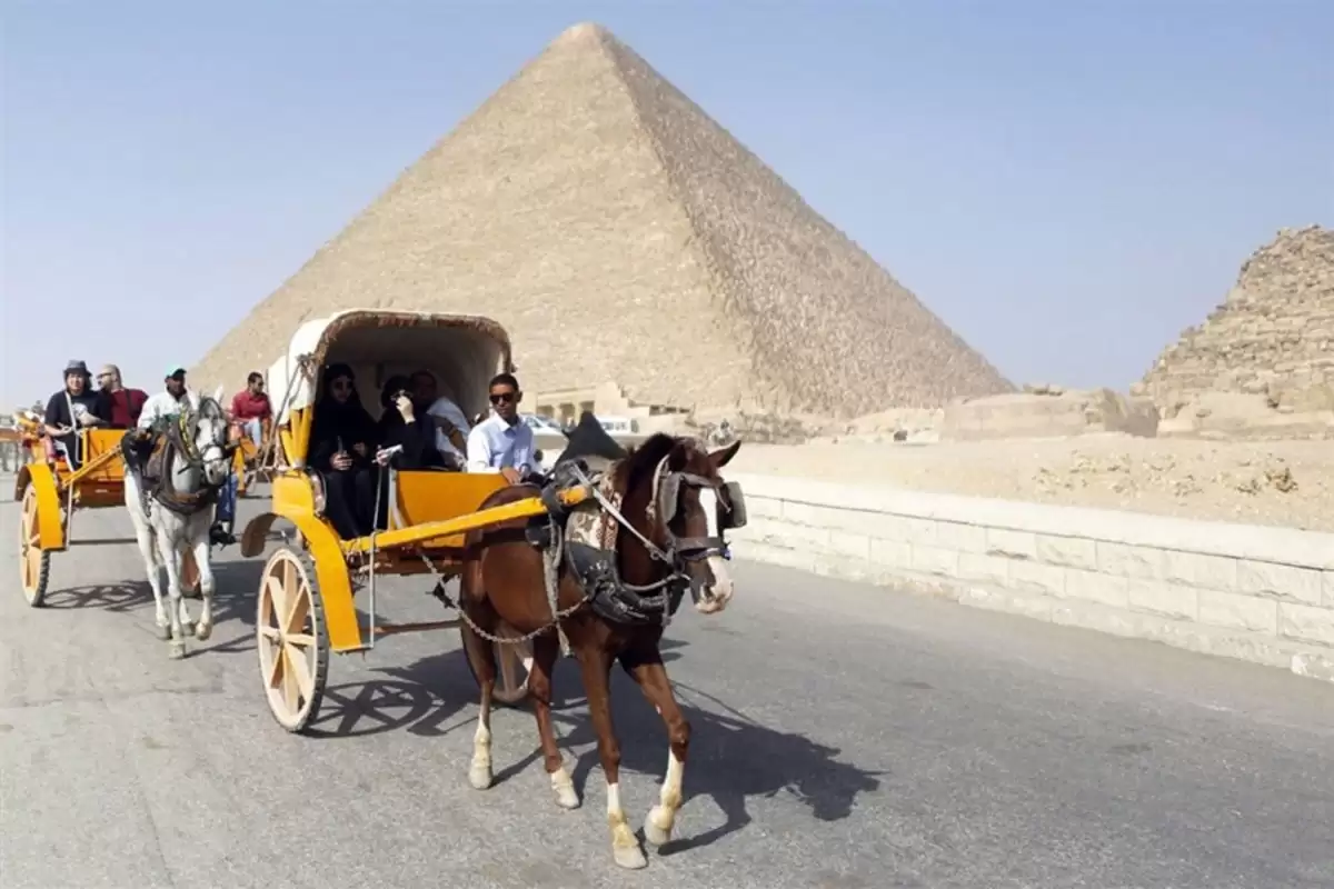 Half day tour to giza pyramids by horse carriage